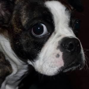 Meet your Posher, Matt